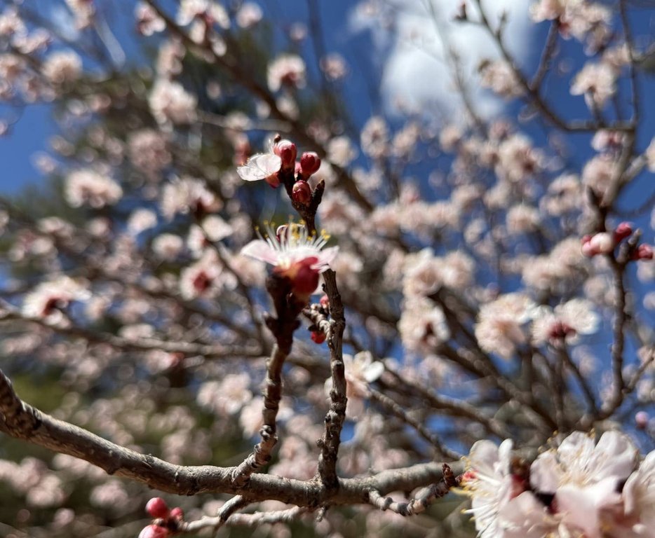 Rapp Tour Adventures gallery