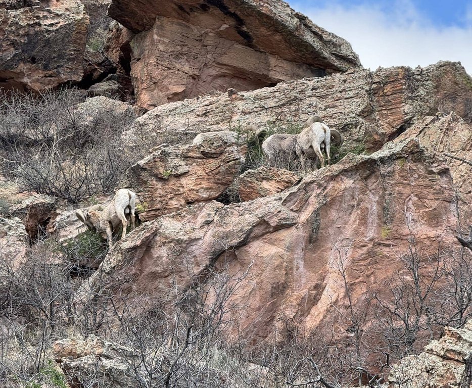 Rapp Tour Adventures gallery